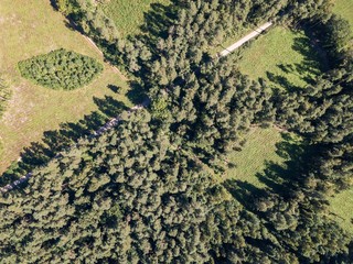 Forest seen from above.  Beautiful drone landscape.