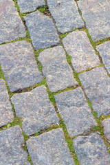 Cobbles of Red Square