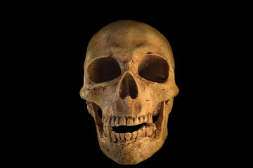 Obraz premium Human skull on black background.