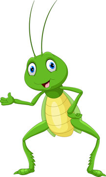 Cute Grasshopper Presenting