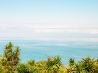Beautiful palm trees with sea on blue sky background