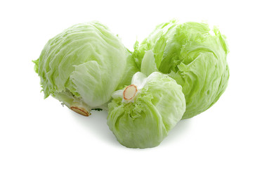 Fototapeta premium Green Iceberg lettuce on White Background
