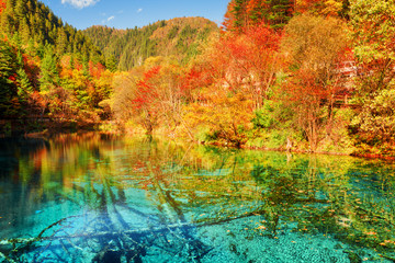 Autumn forest reflected in azure water of the Five Flower Lake