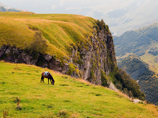 Mountain landscape with grazing horses, Georgia of autumn, Kazbegi