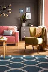 Armchair with blanket standing in real photo of dark living room interior with powder pink couch,...
