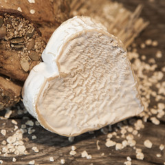 fromage de saint valentin 14 février