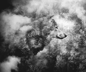 Fototapete Wolf Schwarz-Weiß-Collage: Wolfskopf und der Nebelwald.