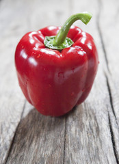 poivron paprika en gros plan