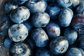 fresh berries blueberries close-up scattered