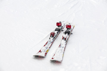 Pair of red skis on white snow. Austria