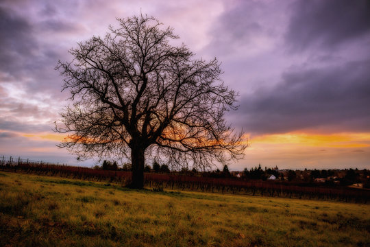 Lzb Bilder Durchsuchen 410 Archivfotos, und Videos