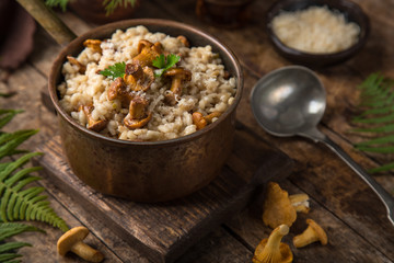 chanterelle mushroom risotto © anna_shepulova
