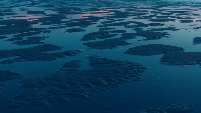 maree basse