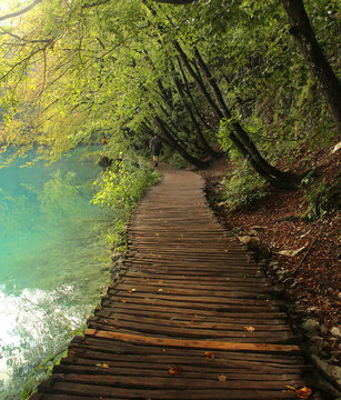 Wooden path leading along beautiful lake © Vladimra