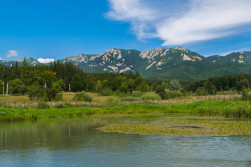 Landscape of lake, green vegetation forest and mountains the the foreground with blue sky - copysapce