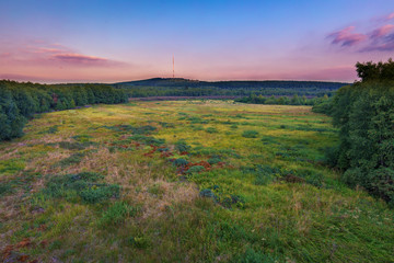 Rotes Moor in der Rh&ouml;n