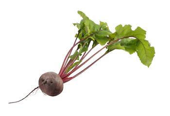 Rote Bete auf weissem Hintergrund