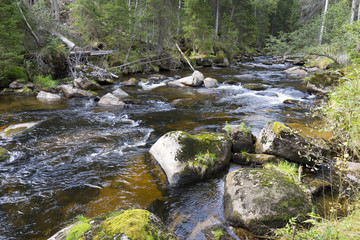 Fototapeta premium Wild Landscape about Creek Kremelna, Sumava, mountains in south Czech