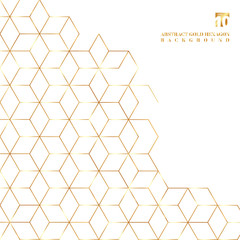 Obraz premium .Gold hexagons border pattern on white background.