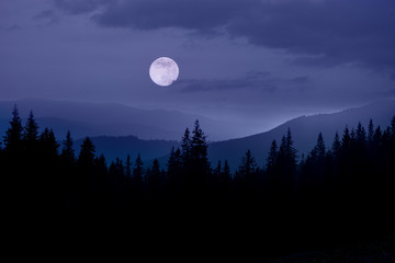 Silhouettes of firs and mountain peaks and a  full moon. Minimalistic view.
