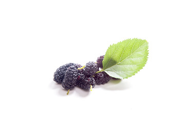 Heap of black mulberry fruit with leaf isolated on white.