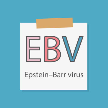 EBV Epstein&ndash;Barr virus written in a notebook paper- vector illustration