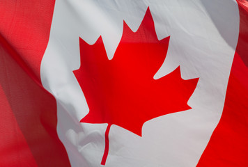 A close up of the Canadian national flag flying on a sunny day.