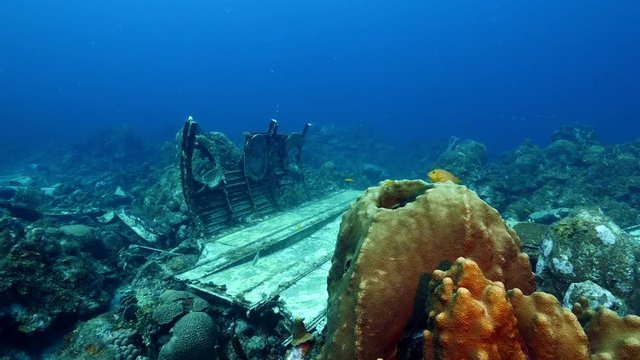 Elvin's Plane Wreck near Playa Kalki/ Cura&ccedil;ao /Netherlands Antilles