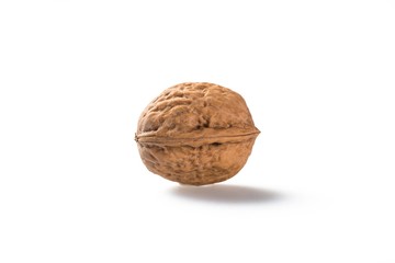 Single Walnut