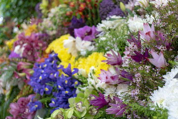 Obraz premium Wall of flowers and herbs.