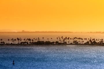 Silhouette of tropical palm trees under a yellow sunset and a blue pacific ocean in Puerto Rico
