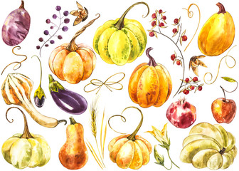 Big set of Pumpkins. Hand drawn watercolor painting on white background. Watercolor illustration.