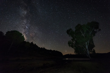 Naklejka na ściany i meble Milky Way over the forests of Granadilla. Extremadura. Spain.