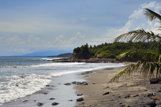 Bali, Indonesia. Beach by the sea with tropical plants