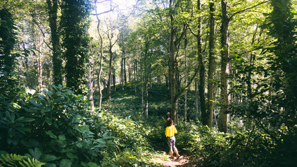 Fototapete bei efototapeten.de bestellen   