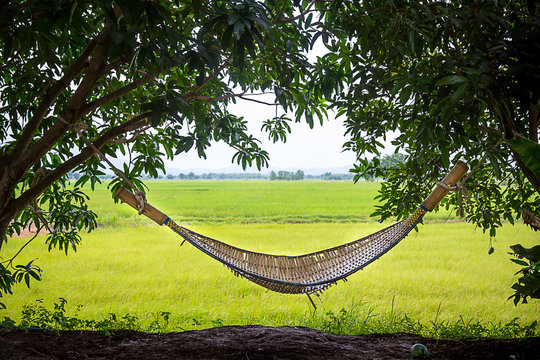 Hemp hammock  hanging between the trees with grass field, rice padding background. slow life in the countryside. beautiful natural relaxing view. image for background, wallpaper and copy space.