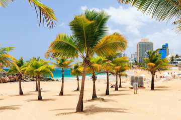 Beautiful tropical palm trees at popular touristic Condado beach in San Juan, Puerto Rico - obrazy, fototapety, plakaty
