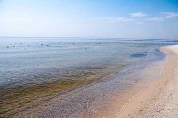 boat in the navigate on the sea in a sunny day