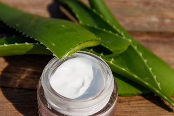 Green leaves of aloe vera plant and moisturizing cream on rustic wooden background