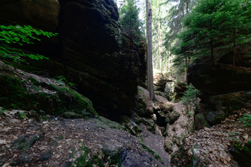 Felsen, Elbsandstein Gebirge