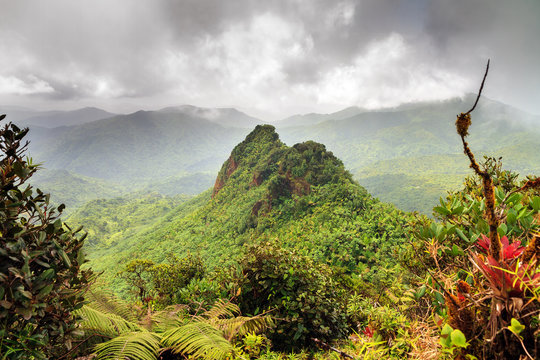 Beautiful panoramic view over the hills in the jungle of the El Yunque national forest in Puerto Rico