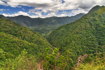 Beautiful view of the hills with fog in the jungle of the El Yunque national forest in Puerto Rico
