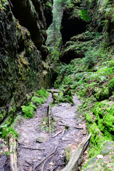 flissbett, Elbsandsteingebirge