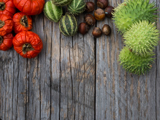 Fototapeta na wymiar Autumn fruits