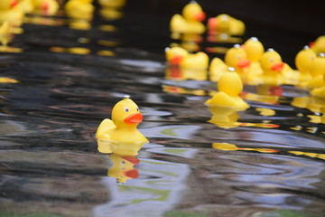 Gelbe Quietscheentchen auf einem Teich in einem Stadtpark