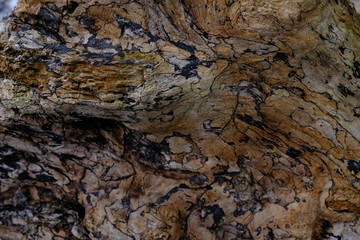 nice wood