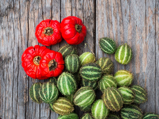 Cucumber pepper