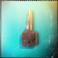 key lies on a green background.