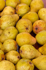 The autumn crop of large, delicious and juicy pears.