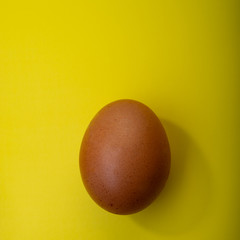 brown egg on a yellow background. Web banner.